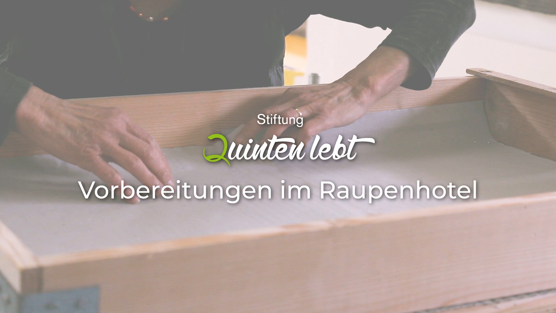 Projekt: Raupenhotel Quinten